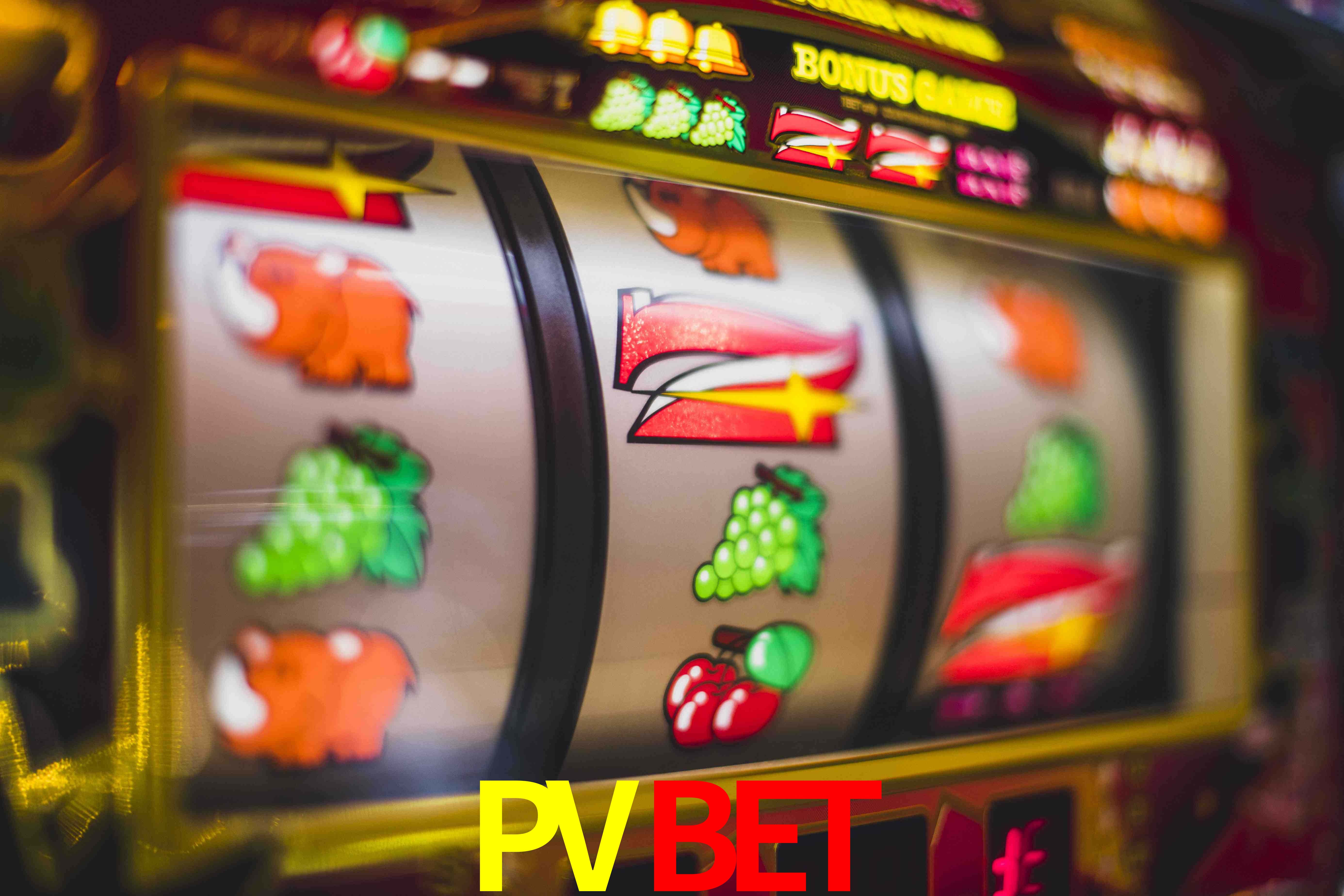Sports Statistics PVBET